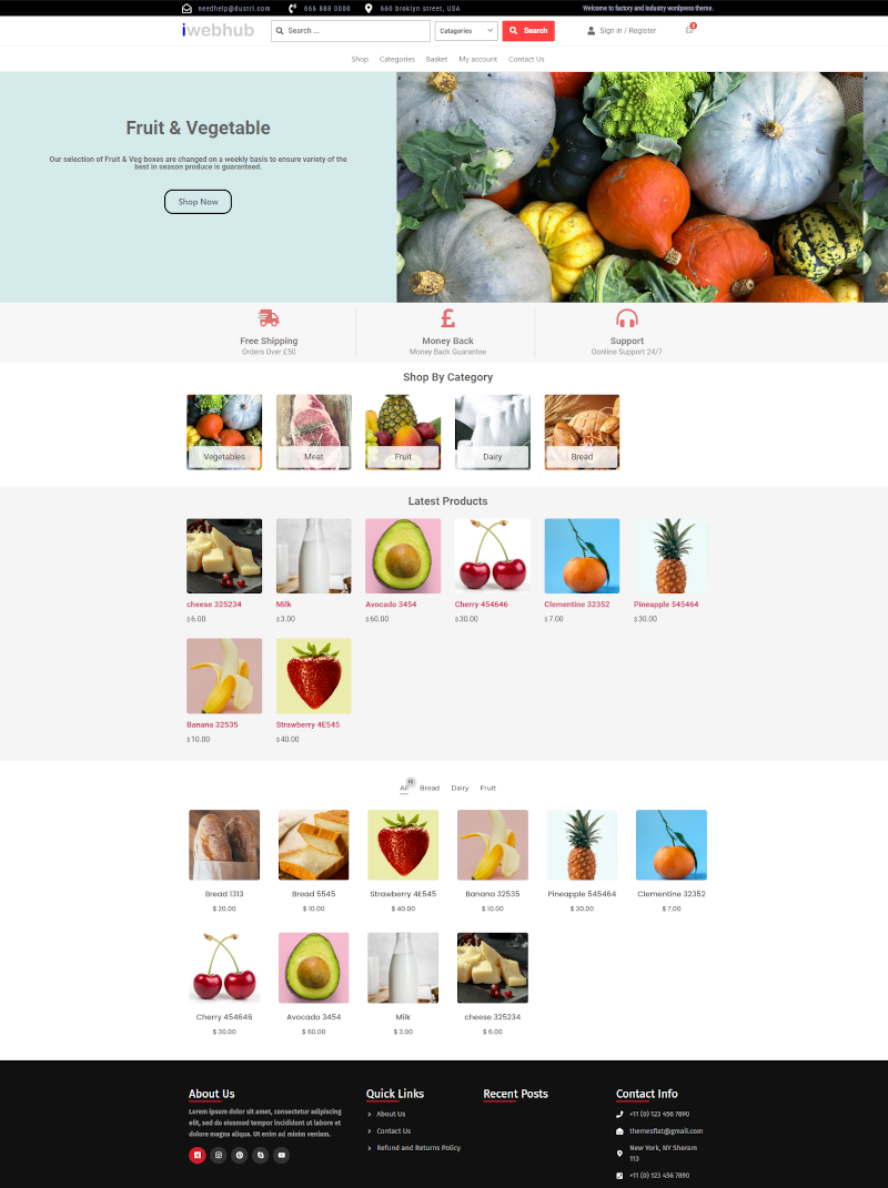 WordPress eCommerce theme MBR-CT01